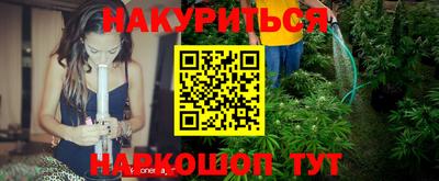 индика Можга